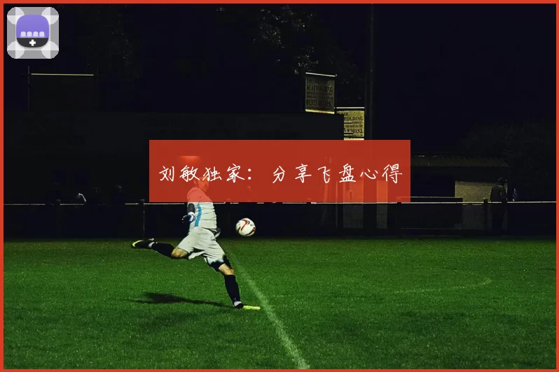 刘敏独家：分享飞盘心得